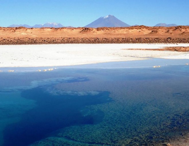 Discover the Salinas Grandes Salt Fields