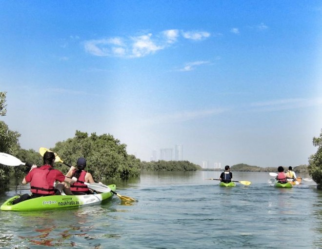 Mangrove Kayaking with Transfer