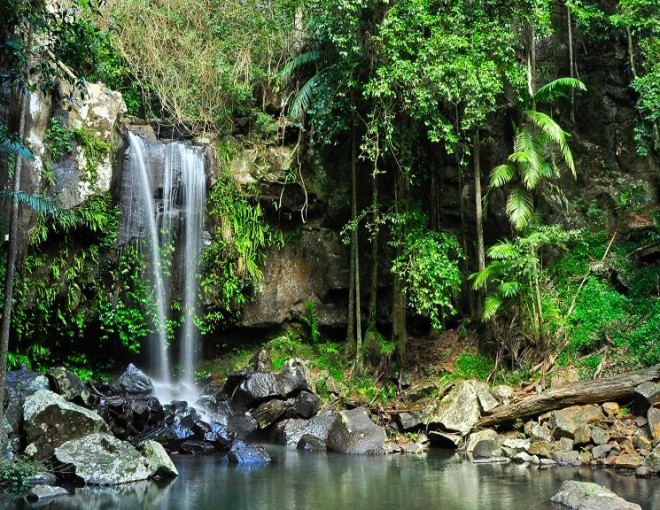 Tamborine Mountain Outback Tracks Tour