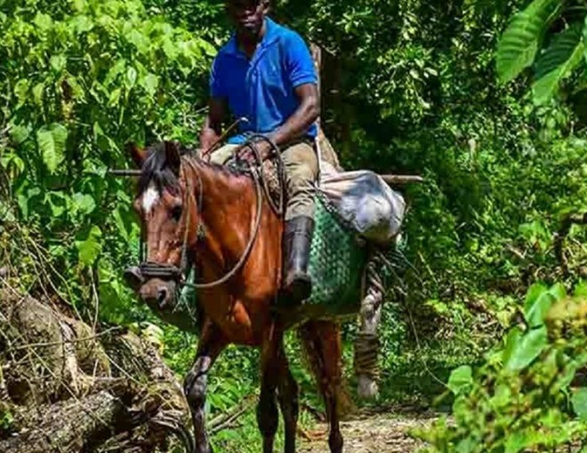 Walking and Hiking Tour Punta Cana