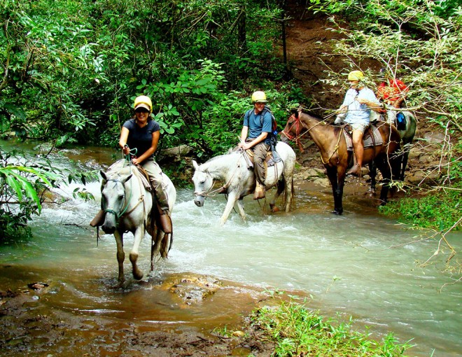 Horseback riding