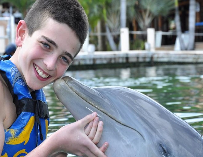 Encuentro con delfines en Puerto Aventuras