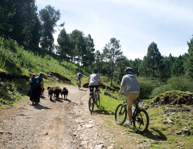 Mountain Bike Tour: Chiapas Indigenous Village and Mountain