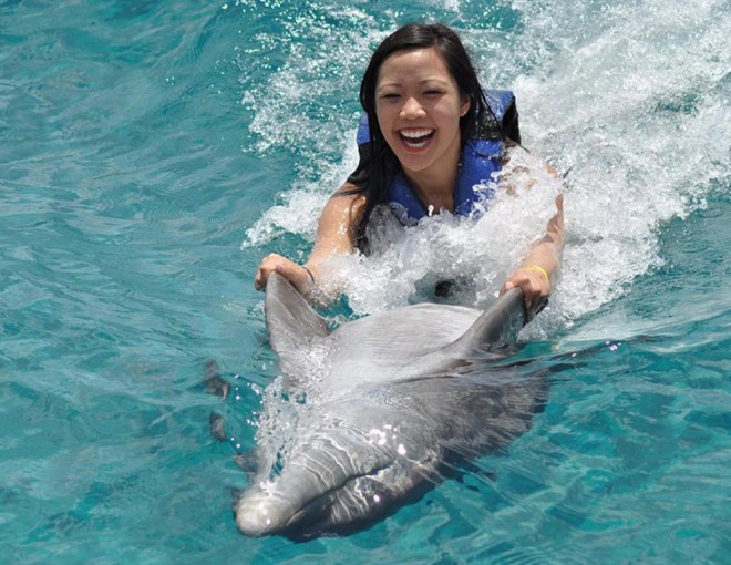 Swim Adventures at Dolphin Cove Ocho Rios