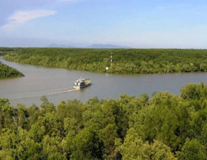 Vam Sat Mangrove Forest Tour from Ho Chi Minh City