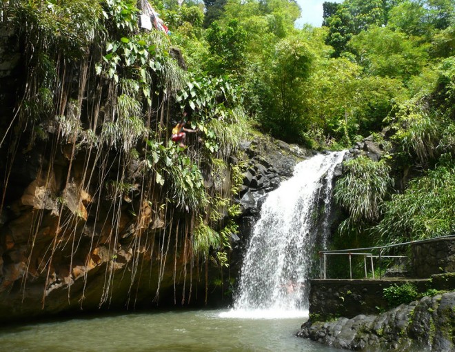 The wonders of Grand Etang Rainforest