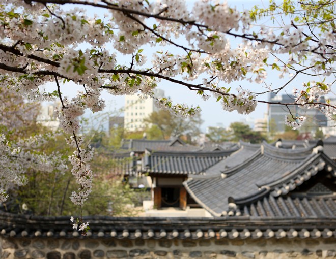 Changdeokgung Palace and Namsan Hanok Village