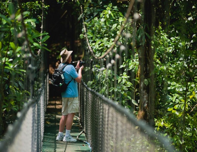 Puentes colgantes de San Luis