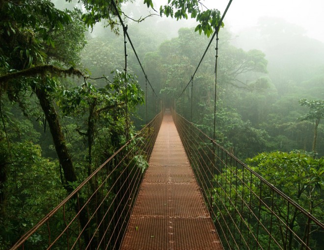 Parque Selvatura - Día completo