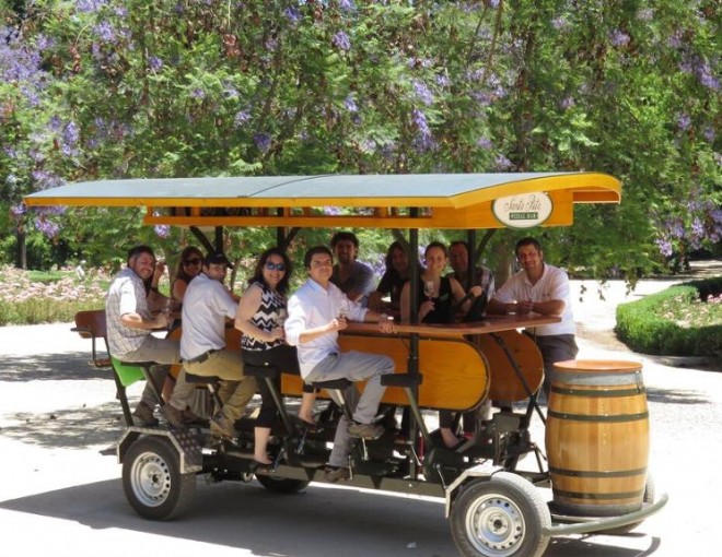 Excursión de medio día al viñedo de Santa Rita en grupos pequeños