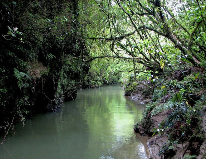 Full Day Rotorua To Auckland Via Waitomo Cave - with transport