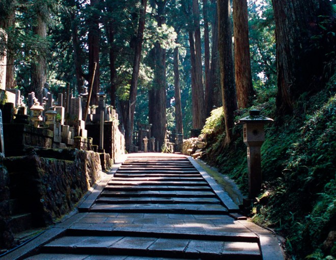 One Day World Heritage Site and Mt Koya Tour