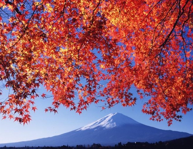 Fuji's Best Autumn Leaf Spots