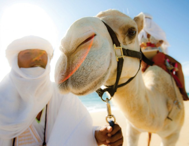 Excursión al interior y safari en camello