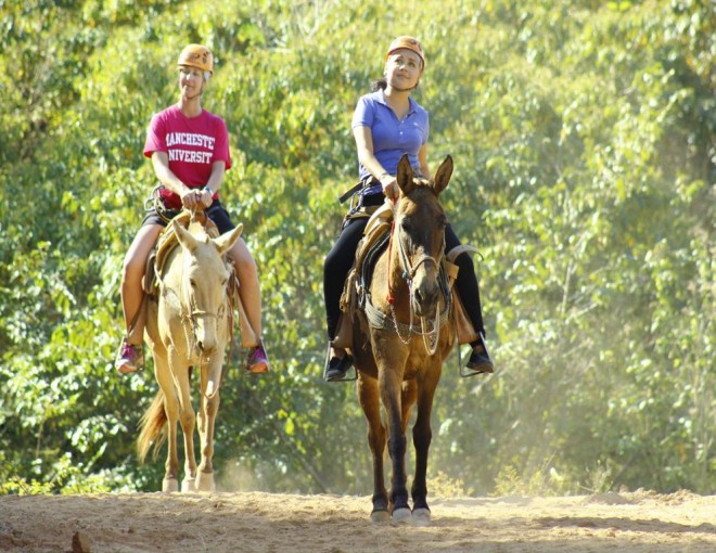 Mule Riding Tour