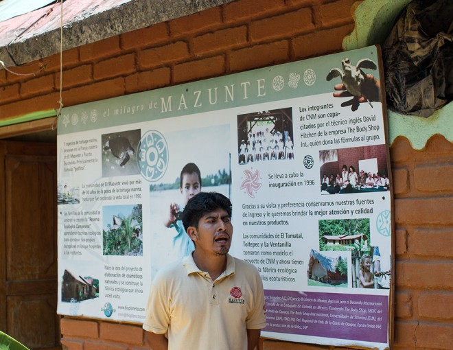 Crocodiles And Turtles Sanctuary