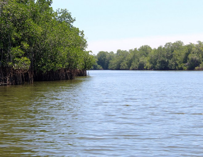 Lagoon of Manialtepec