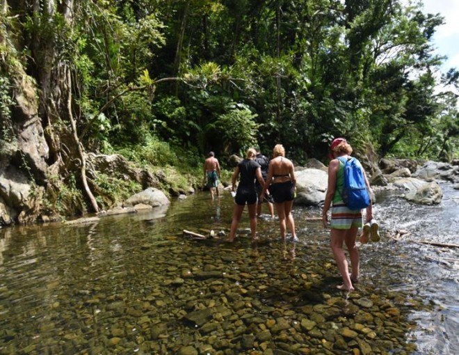 El Yunque Off the Beaten Path Tour