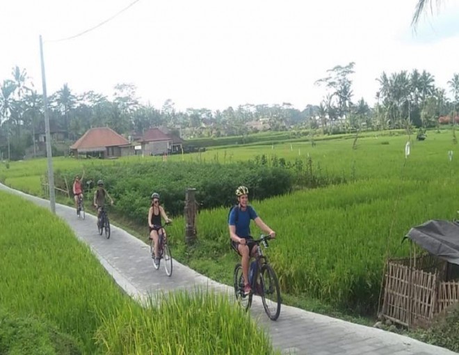 Ubud Electric Bike Tour to Tegallalang Rice Terraces