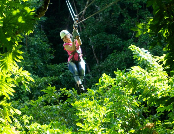 Zipline Canopy (Montepelier Outpost)