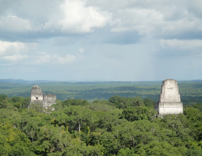 Visita al Parque Nacional Tikal desde la ciudad de Guatemala