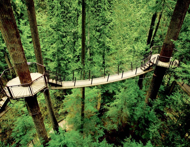 Paseo por Vancouver y puente colgante Capilano 