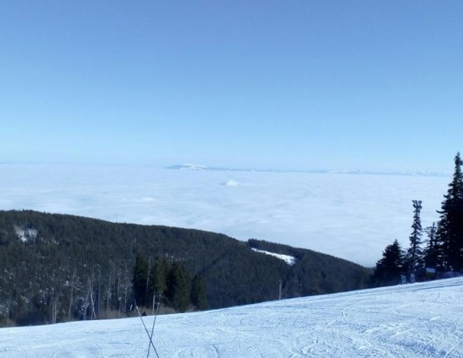 Private Day Tour: Vitosha Mountain Winter Trip and Spa from Sofia