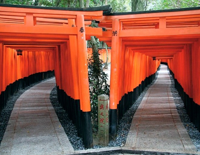 Santuario Fushimi Inari-Taisha de Kioto y degustación de sake