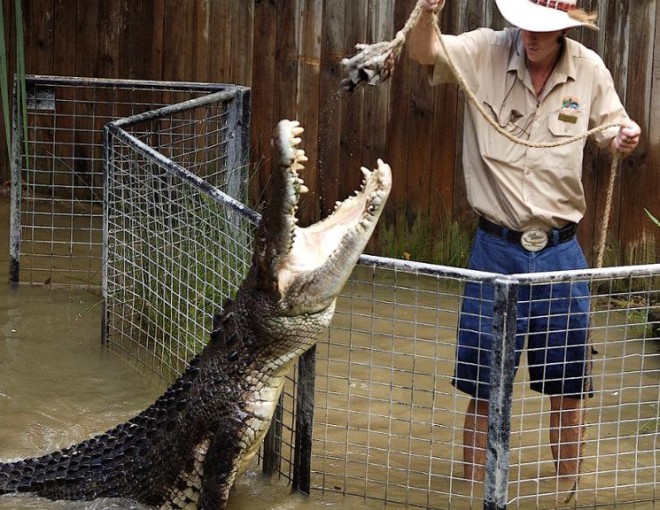 Hartley's Crocodile Adventures