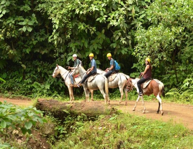 Horseback Riding Tour