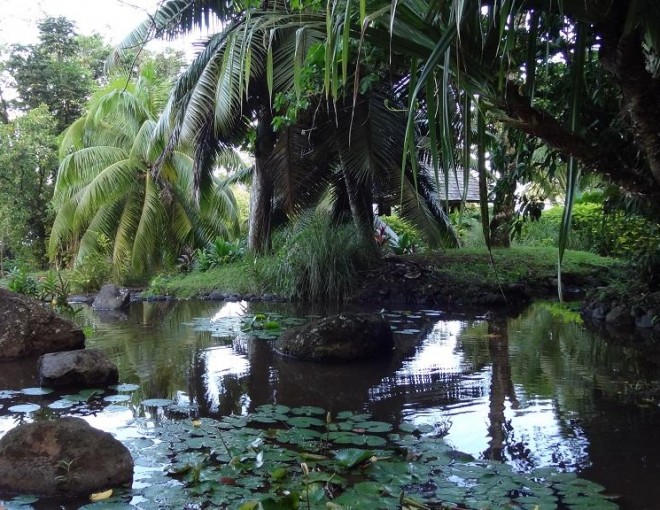 Tahiti Island Tour Including Venus Point, Taharaa View Point & Vaipahi Gardens