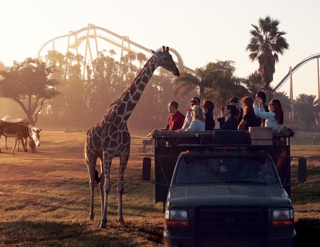 Busch Gardens Serengeti Safari Tour
