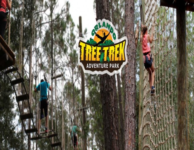 Tree Trek Orlando