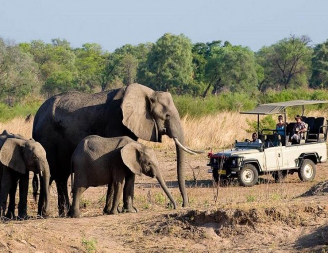 3 Hours Game Drive - Zambezi National Park