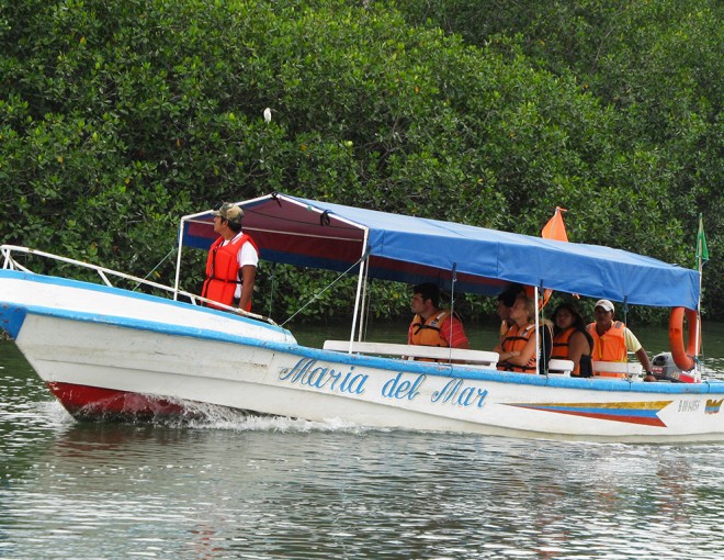 Puerto del Morro Tour, Dolphin Watching and Birth Island