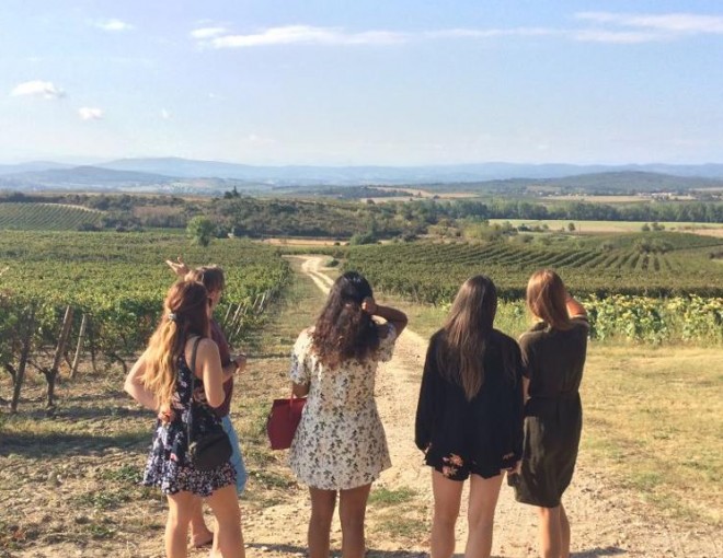 Lastours Castles, Wine Tasting, Minerve and the Canal du Midi Tour - From 4 people