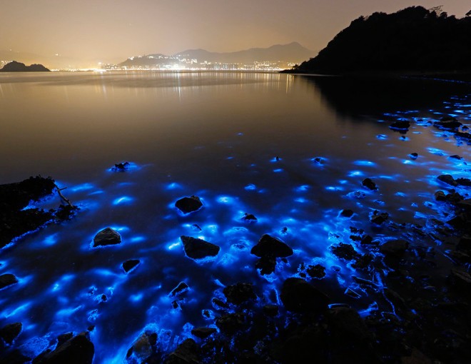 Luminous Lagoon