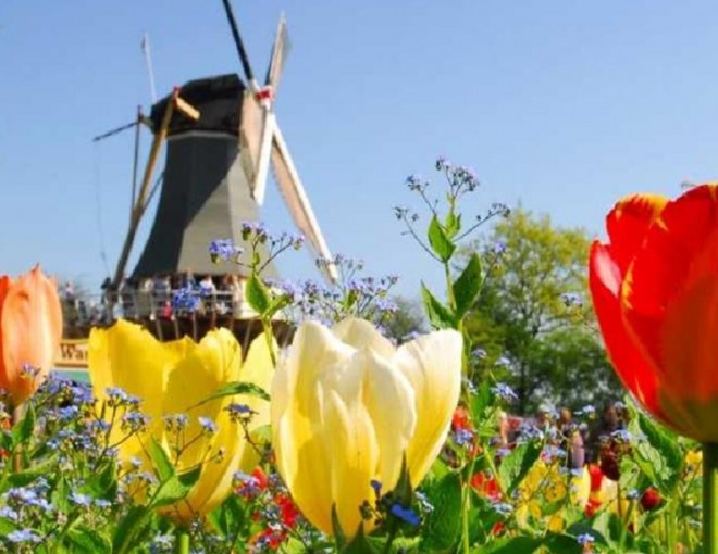 Keukenhof and Flower Fields Guided Tour from Rotterdam