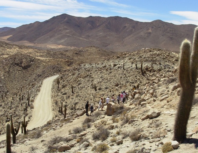 The Great Salt Flat tour