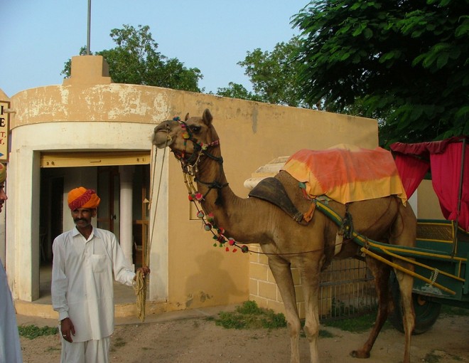 Excursion to Samode and camel ride