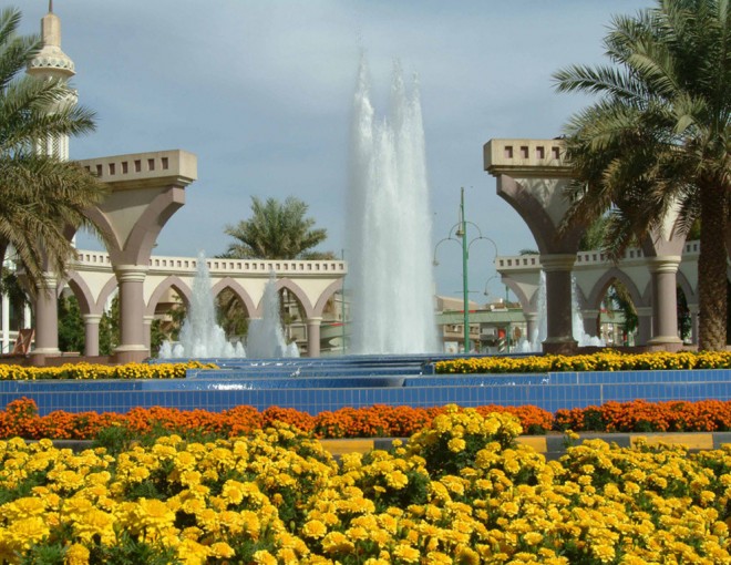 Al Ain Full Day Tour with Lunch