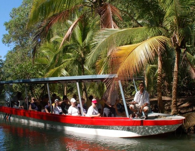 Tour en barco por los manglares de la isla Damas