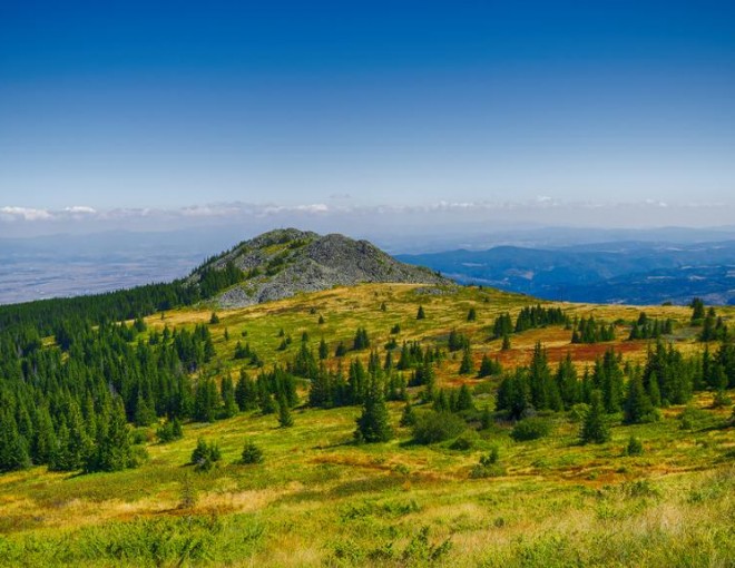 Private Day Trip: Vitosha Mountain Heritage and Hiking - from Sofia