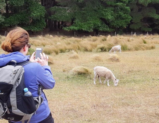 Packhorse Hut Guided Walk