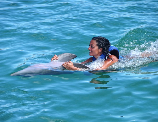 Dolphin Explorer - parque de aventuras con animales acuáticos desde Bayahibe