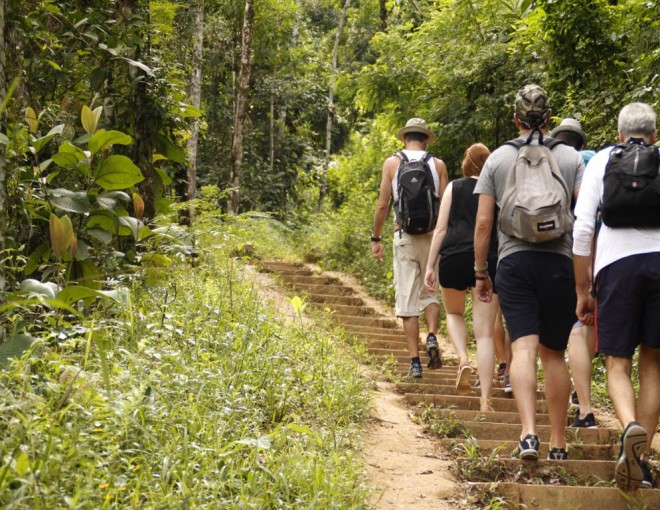 Rainforest Trek to Secluded Sono Beach