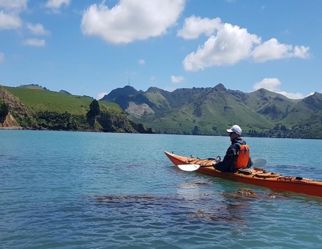 Sea Kayaking Lyttleton Harbour & Quail Island