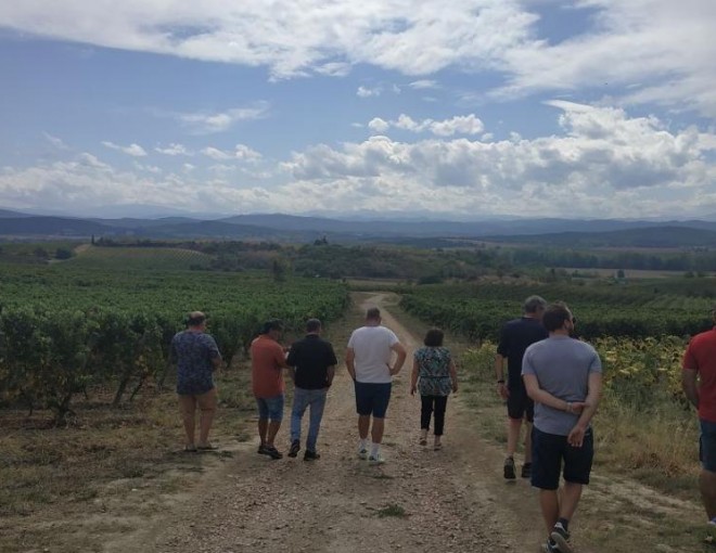City of Carcassonne and Wine Tasting Tour - From 4 people