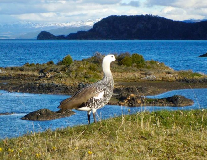 Catamaran Voyage to Seal and Bird Islands